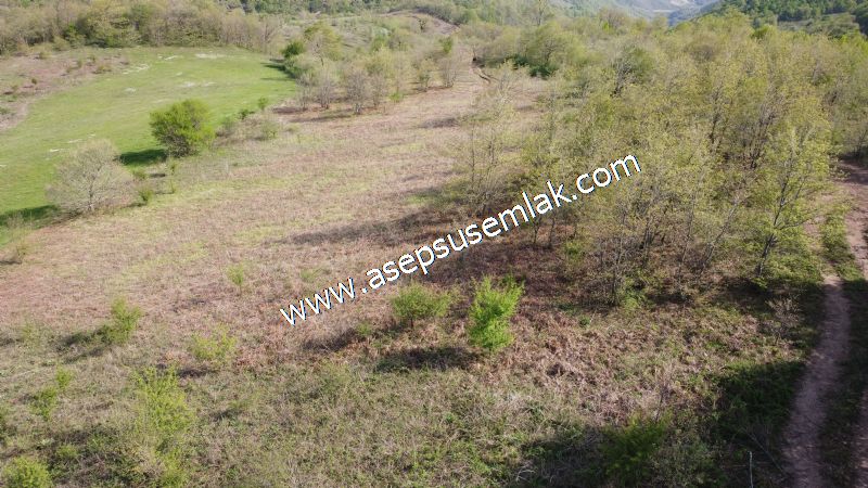 9.086 M2 Yatırımlık Tarla Arıcılık, Hayvancılık Orman'a Cepheli