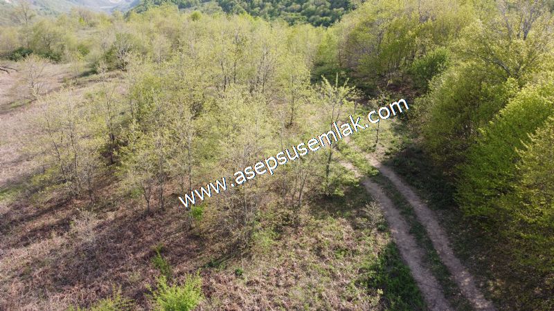 9.086 M2 Yatırımlık Tarla Arıcılık, Hayvancılık Orman'a Cepheli