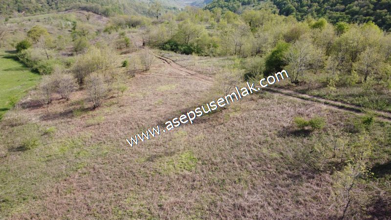 9.086 M2 Yatırımlık Tarla Arıcılık, Hayvancılık Orman'a Cepheli