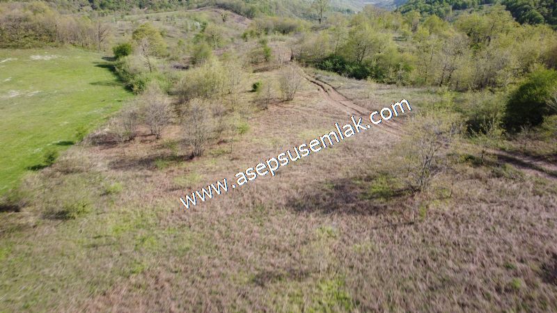9.086 M2 Yatırımlık Tarla Arıcılık, Hayvancılık Orman'a Cepheli