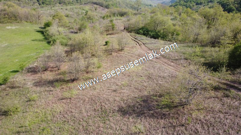 9.086 M2 Yatırımlık Tarla Arıcılık, Hayvancılık Orman'a Cepheli