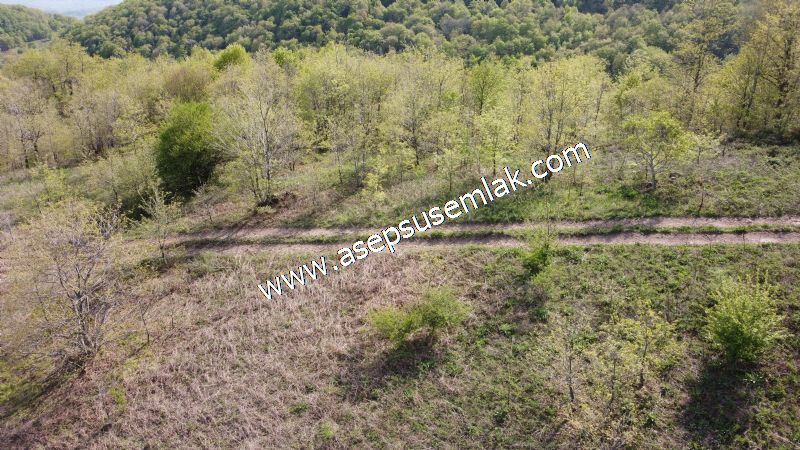 9.086 M2 Yatırımlık Tarla Arıcılık, Hayvancılık Orman'a Cepheli