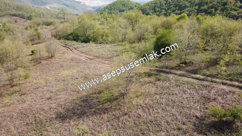 9.086 M2 Yatırımlık Tarla Arıcılık, Hayvancılık Orman'a Cepheli