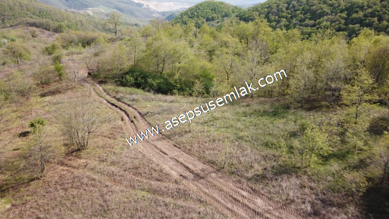9.086 M2 Yatırımlık Tarla Arıcılık, Hayvancılık Orman'a Cepheli