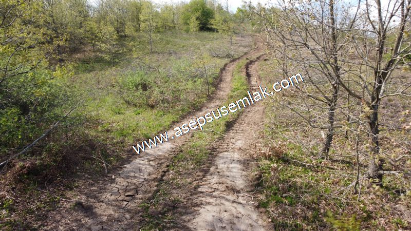 9.086 M2 Yatırımlık Tarla Arıcılık, Hayvancılık Orman'a Cepheli