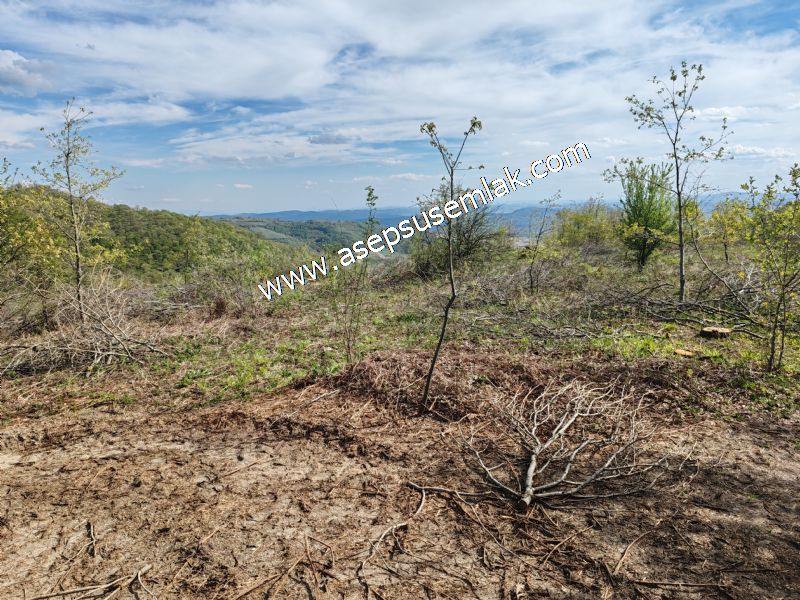9.086 M2 Yatırımlık Tarla Arıcılık, Hayvancılık Orman'a Cepheli