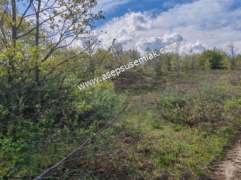 9.086 M2 Yatırımlık Tarla Arıcılık, Hayvancılık Orman'a Cepheli