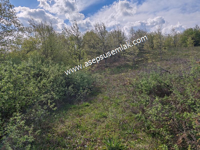 9.086 M2 Yatırımlık Tarla Arıcılık, Hayvancılık Orman'a Cepheli