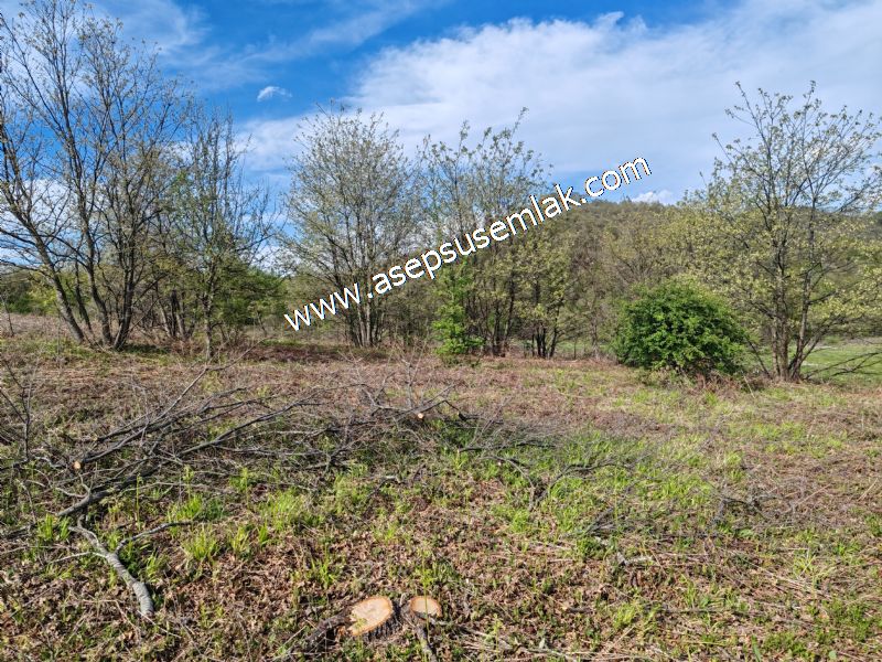 9.086 M2 Yatırımlık Tarla Arıcılık, Hayvancılık Orman'a Cepheli