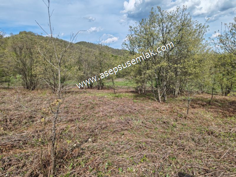 9.086 M2 Yatırımlık Tarla Arıcılık, Hayvancılık Orman'a Cepheli