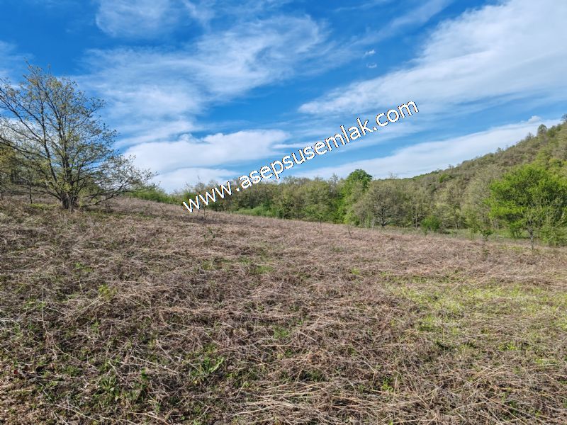 9.086 M2 Yatırımlık Tarla Arıcılık, Hayvancılık Orman'a Cepheli