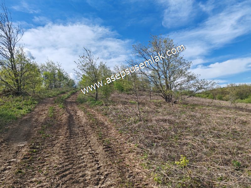 9.086 M2 Yatırımlık Tarla Arıcılık, Hayvancılık Orman'a Cepheli