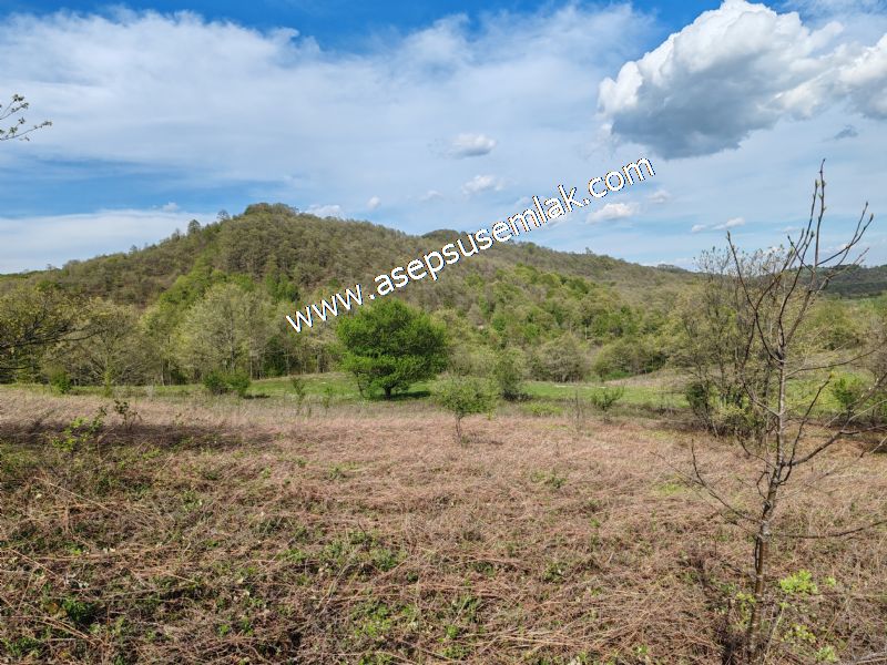 9.086 M2 Yatırımlık Tarla Arıcılık, Hayvancılık Orman'a Cepheli