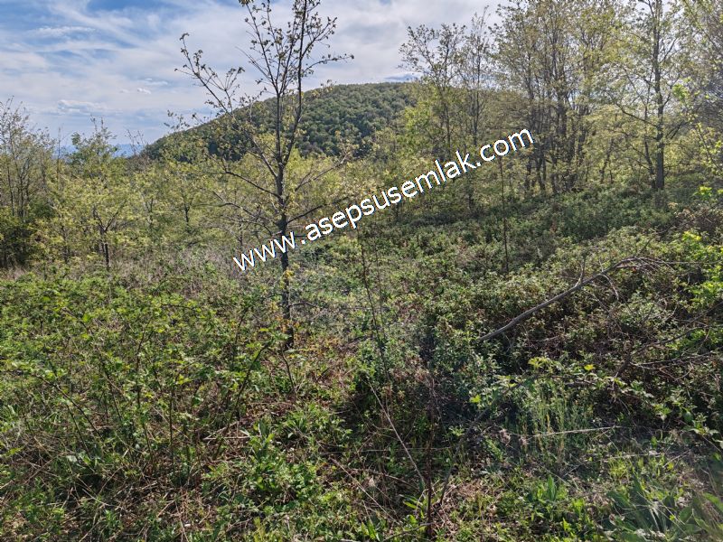 9.086 M2 Yatırımlık Tarla Arıcılık, Hayvancılık Orman'a Cepheli