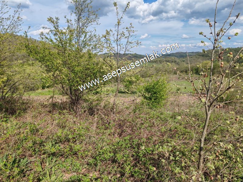 9.086 M2 Yatırımlık Tarla Arıcılık, Hayvancılık Orman'a Cepheli