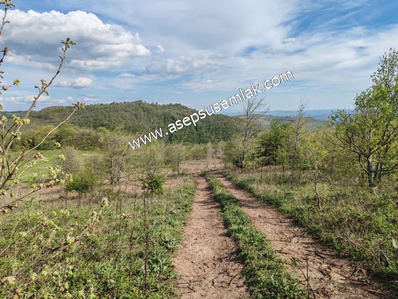 9.086 M2 Yatırımlık Tarla Arıcılık, Hayvancılık Orman'a Cepheli