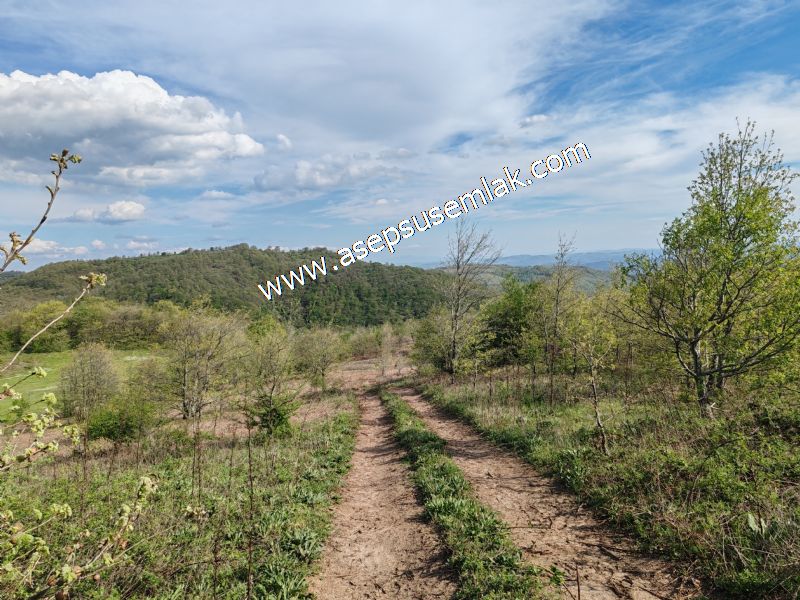 9.086 M2 Yatırımlık Tarla Arıcılık, Hayvancılık Orman'a Cepheli