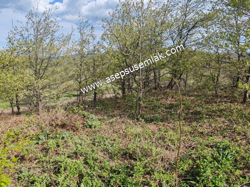 9.086 M2 Yatırımlık Tarla Arıcılık, Hayvancılık Orman'a Cepheli