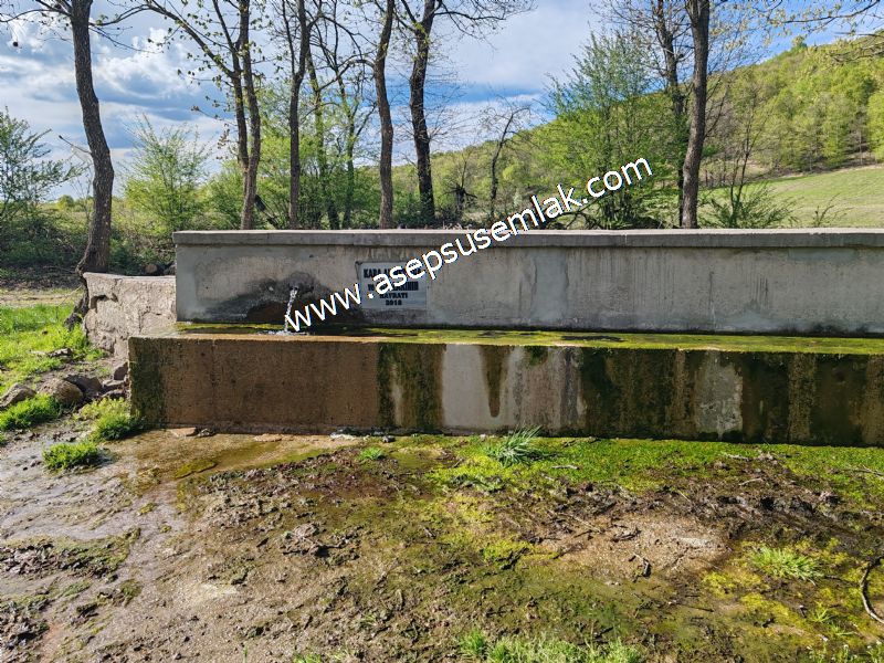 9.086 M2 Yatırımlık Tarla Arıcılık, Hayvancılık Orman'a Cepheli