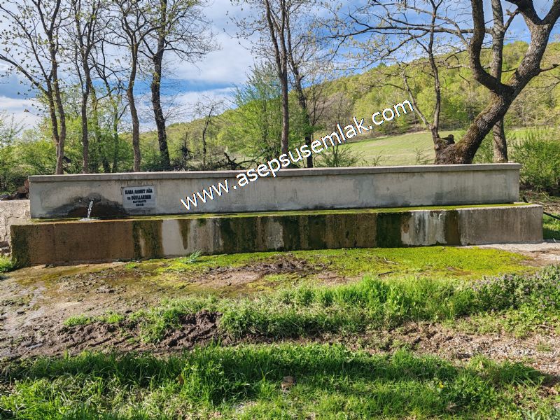 9.086 M2 Yatırımlık Tarla Arıcılık, Hayvancılık Orman'a Cepheli