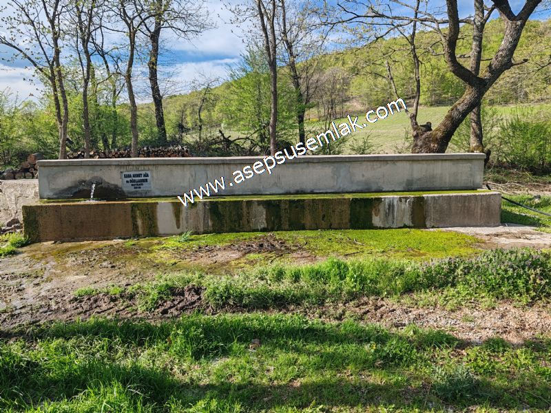 9.086 M2 Yatırımlık Tarla Arıcılık, Hayvancılık Orman'a Cepheli