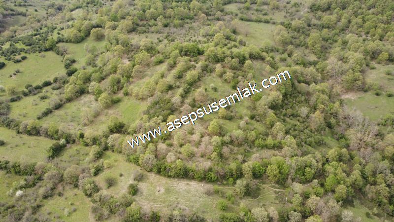 8.900 M2 Yatırımlık Tarla Arıcılık, Hayvancılık Orman'a Cepheli