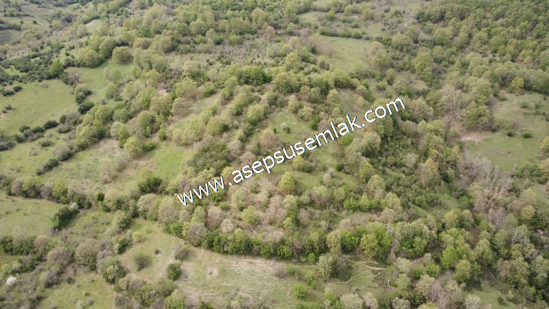 8.900 M2 Yatırımlık Tarla Arıcılık, Hayvancılık Orman'a Cepheli