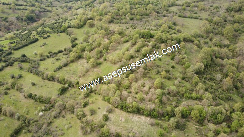 8.900 M2 Yatırımlık Tarla Arıcılık, Hayvancılık Orman'a Cepheli