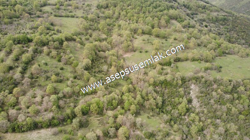 8.900 M2 Yatırımlık Tarla Arıcılık, Hayvancılık Orman'a Cepheli