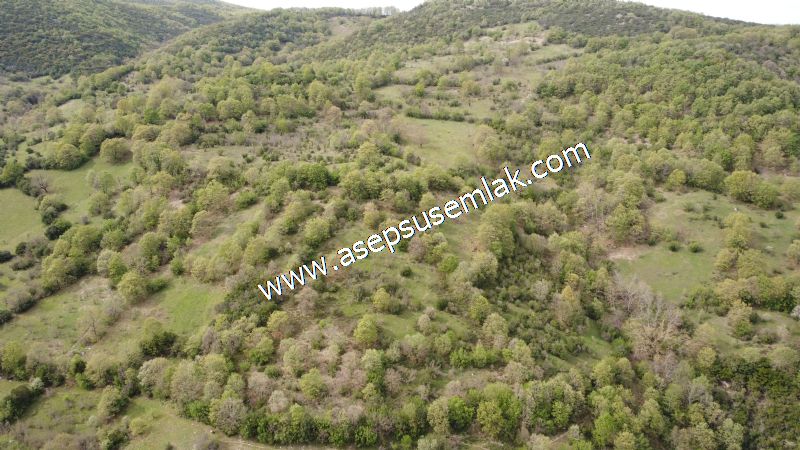 8.900 M2 Yatırımlık Tarla Arıcılık, Hayvancılık Orman'a Cepheli