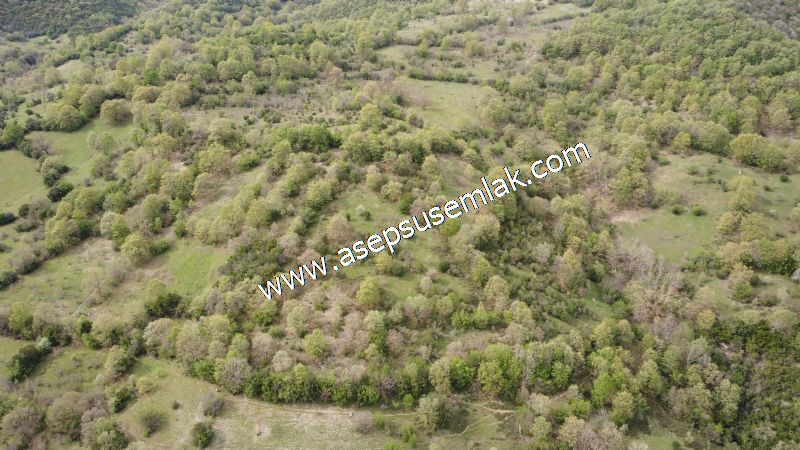 8.900 M2 Yatırımlık Tarla Arıcılık, Hayvancılık Orman'a Cepheli