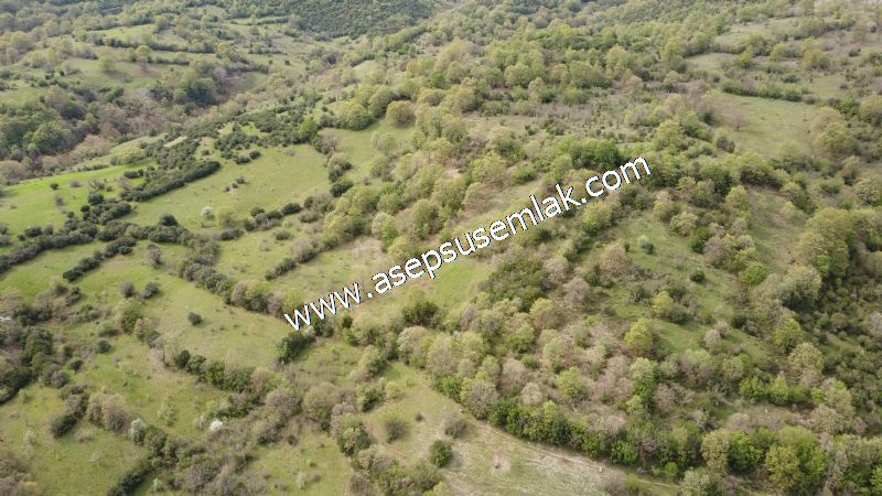 8.900 M2 Yatırımlık Tarla Arıcılık, Hayvancılık Orman'a Cepheli