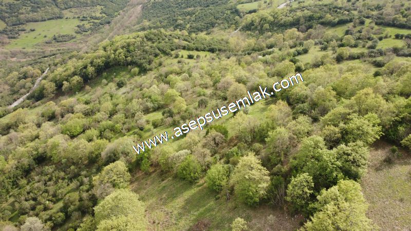 8.900 M2 Yatırımlık Tarla Arıcılık, Hayvancılık Orman'a Cepheli