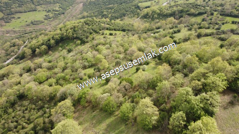 8.900 M2 Yatırımlık Tarla Arıcılık, Hayvancılık Orman'a Cepheli