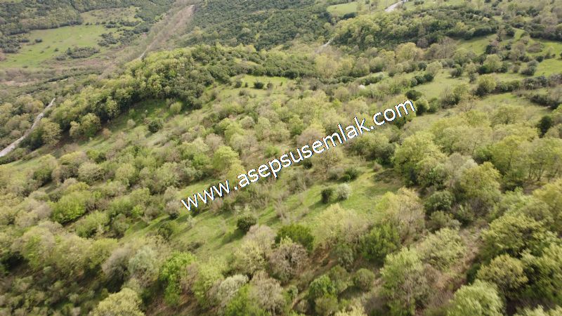 8.900 M2 Yatırımlık Tarla Arıcılık, Hayvancılık Orman'a Cepheli