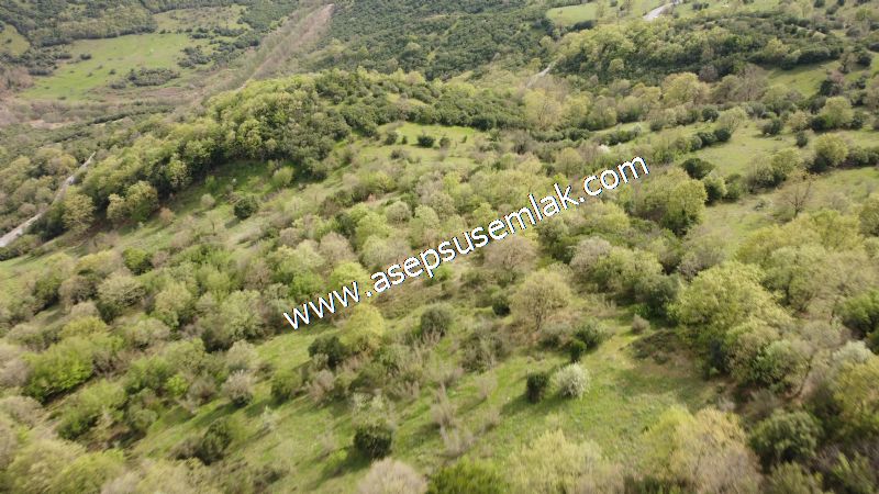 8.900 M2 Yatırımlık Tarla Arıcılık, Hayvancılık Orman'a Cepheli