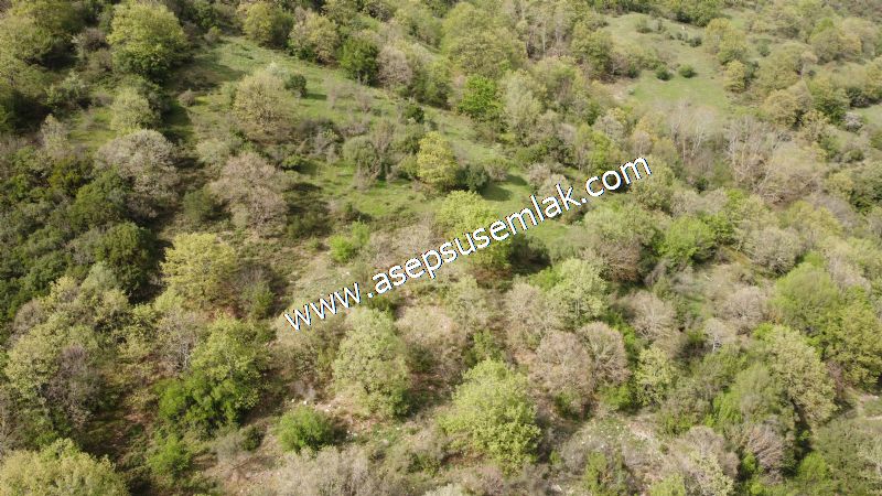 8.900 M2 Yatırımlık Tarla Arıcılık, Hayvancılık Orman'a Cepheli