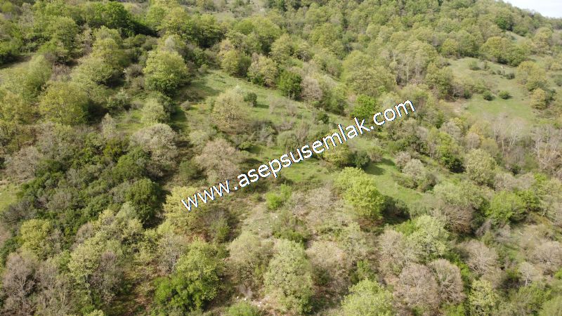 8.900 M2 Yatırımlık Tarla Arıcılık, Hayvancılık Orman'a Cepheli