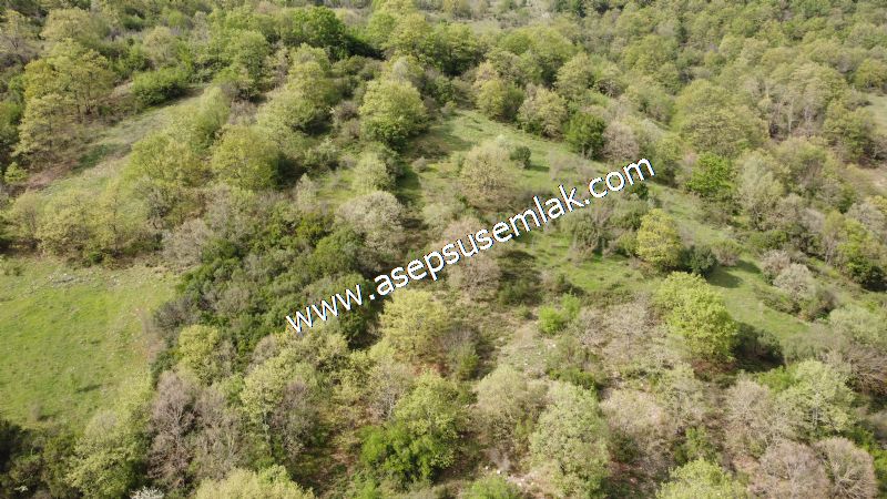 8.900 M2 Yatırımlık Tarla Arıcılık, Hayvancılık Orman'a Cepheli