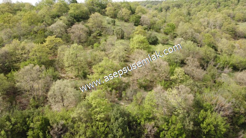 8.900 M2 Yatırımlık Tarla Arıcılık, Hayvancılık Orman'a Cepheli