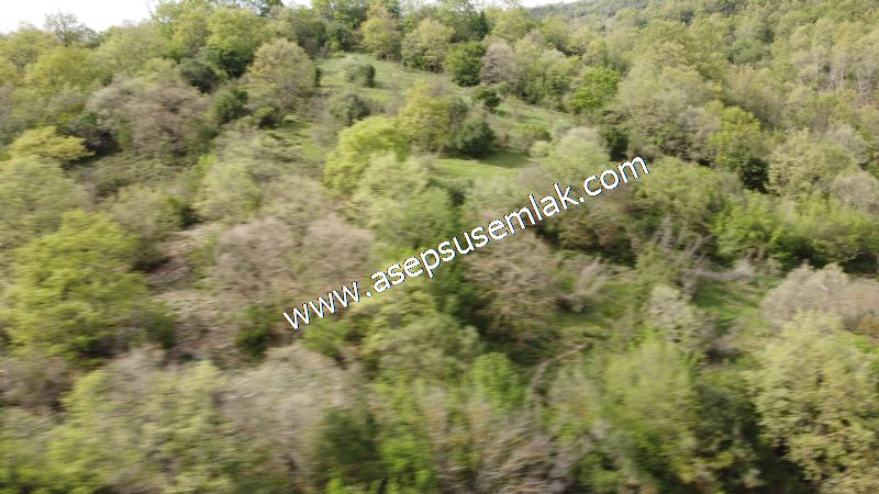 8.900 M2 Yatırımlık Tarla Arıcılık, Hayvancılık Orman'a Cepheli