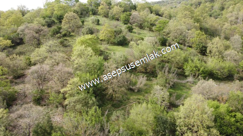 8.900 M2 Yatırımlık Tarla Arıcılık, Hayvancılık Orman'a Cepheli