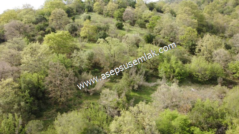 8.900 M2 Yatırımlık Tarla Arıcılık, Hayvancılık Orman'a Cepheli