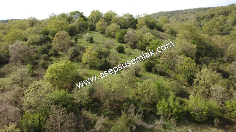 8.900 M2 Yatırımlık Tarla Arıcılık, Hayvancılık Orman'a Cepheli