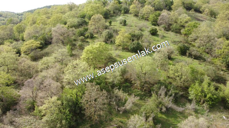 8.900 M2 Yatırımlık Tarla Arıcılık, Hayvancılık Orman'a Cepheli