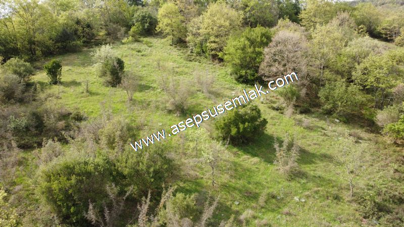 8.900 M2 Yatırımlık Tarla Arıcılık, Hayvancılık Orman'a Cepheli
