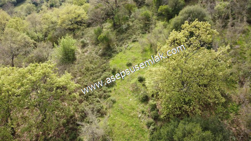 8.900 M2 Yatırımlık Tarla Arıcılık, Hayvancılık Orman'a Cepheli
