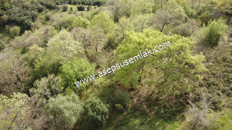 8.900 M2 Yatırımlık Tarla Arıcılık, Hayvancılık Orman'a Cepheli