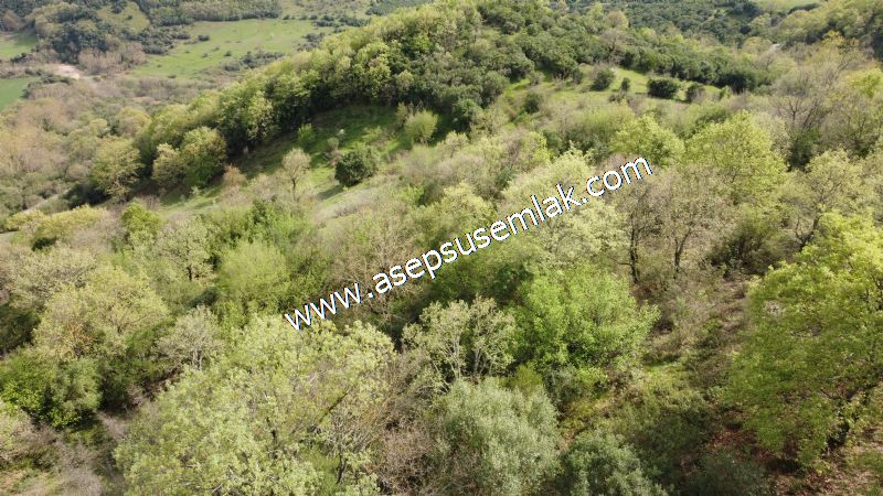 8.900 M2 Yatırımlık Tarla Arıcılık, Hayvancılık Orman'a Cepheli