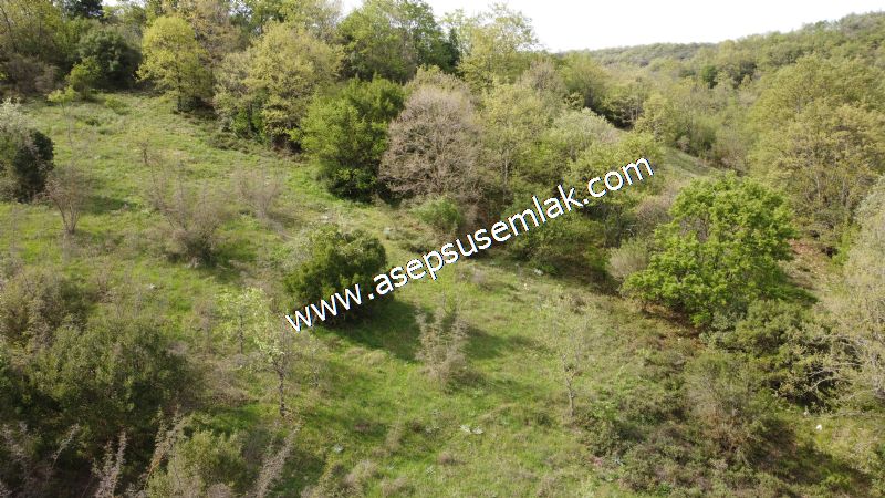 8.900 M2 Yatırımlık Tarla Arıcılık, Hayvancılık Orman'a Cepheli